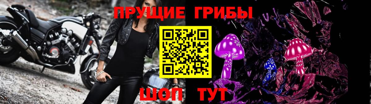 Псилоцибиновые грибы Cubensis Бугуруслан