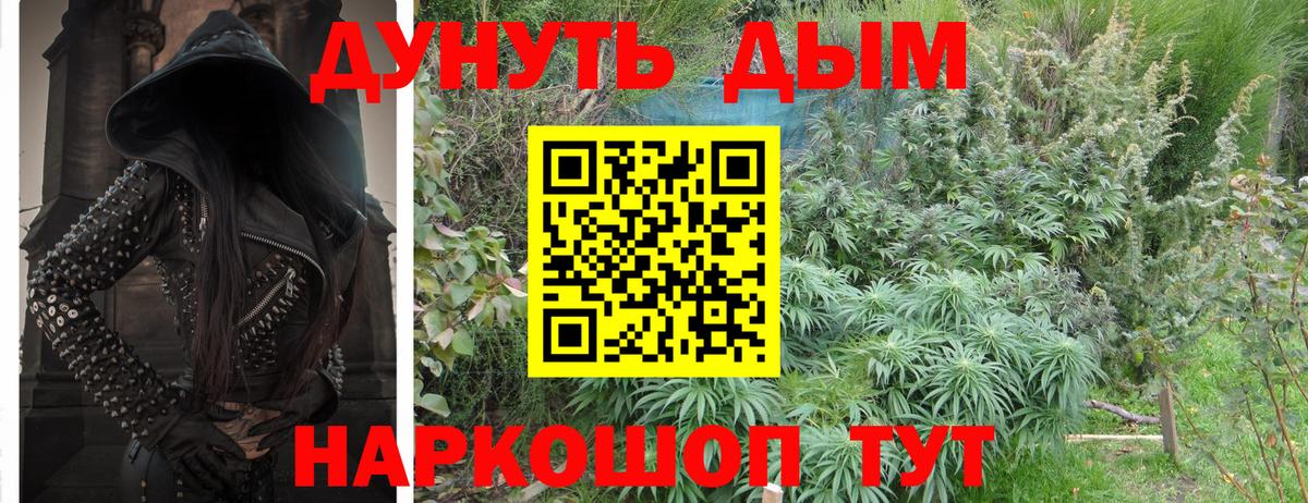 Бугуруслан  МАРИХУАНА Bruce Banner  Вход с VPN  МАРИХУАНА сатива  Конопля сатива 